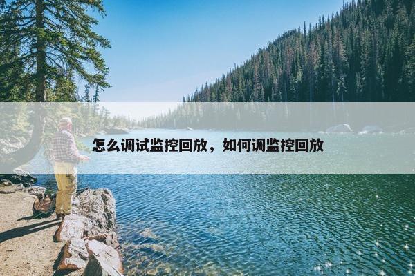 怎么调试监控回放，如何调监控回放