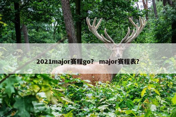 2021major赛程go？ major赛程表？