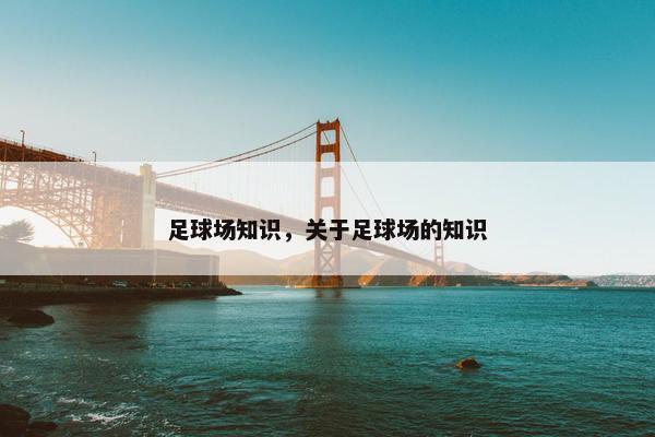 足球场知识，关于足球场的知识