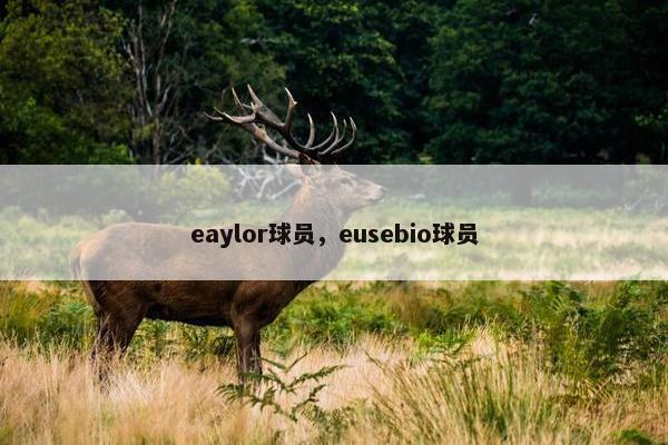 eaylor球员，eusebio球员