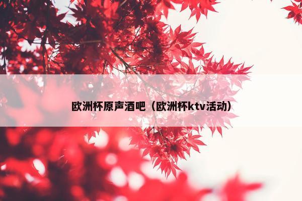 欧洲杯原声酒吧（欧洲杯ktv活动）