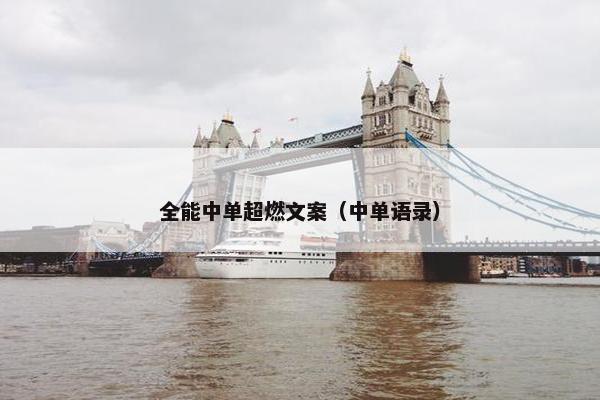 全能中单超燃文案（中单语录）