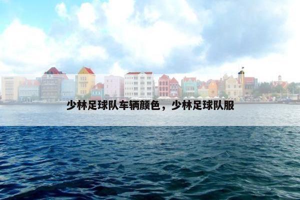 少林足球队车辆颜色，少林足球队服