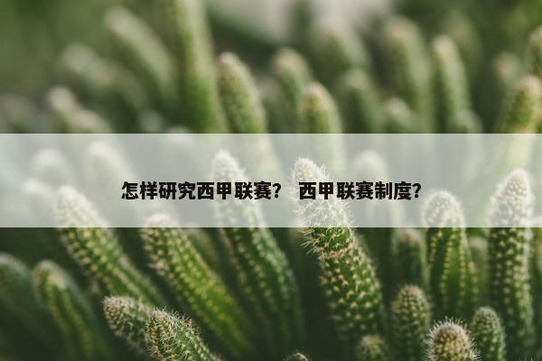 怎样研究西甲联赛？ 西甲联赛制度？