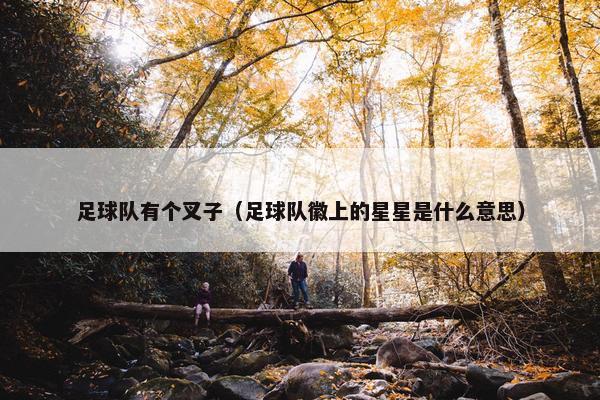 足球队有个叉子（足球队徽上的星星是什么意思）