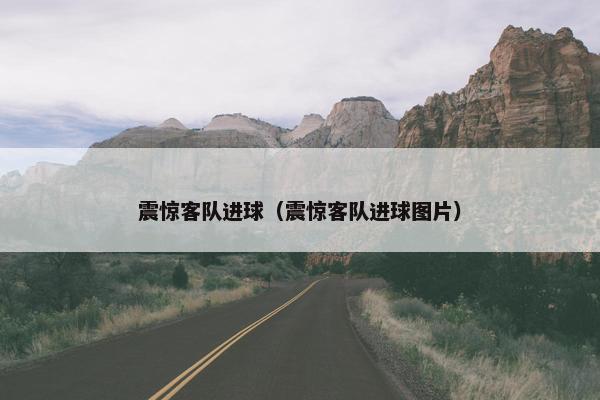 震惊客队进球（震惊客队进球图片）