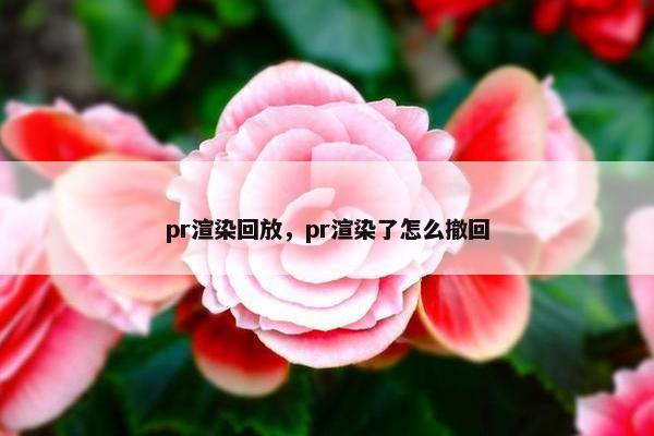pr渲染回放，pr渲染了怎么撤回