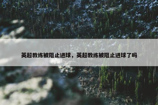 英超教练被阻止进球，英超教练被阻止进球了吗