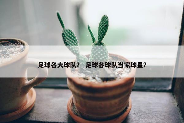 足球各大球队？ 足球各球队当家球星？