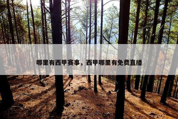 哪里有西甲赛事，西甲哪里有免费直播