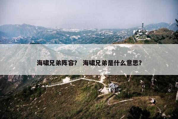 海啸兄弟阵容？ 海啸兄弟是什么意思？
