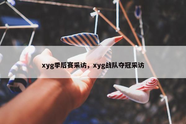 xyg季后赛采访，xyg战队夺冠采访
