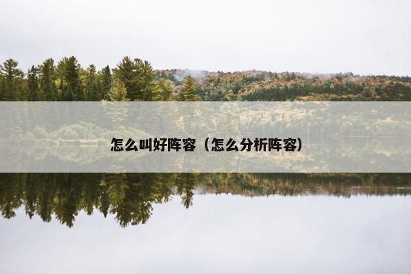 怎么叫好阵容（怎么分析阵容）