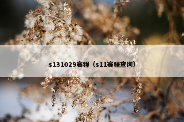 s131029赛程（s11赛程查询）