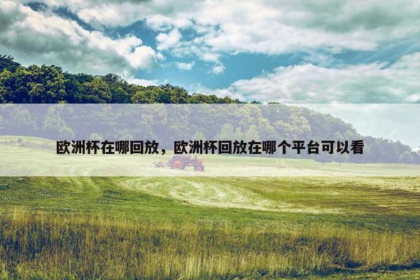 欧洲杯在哪回放，欧洲杯回放在哪个平台可以看