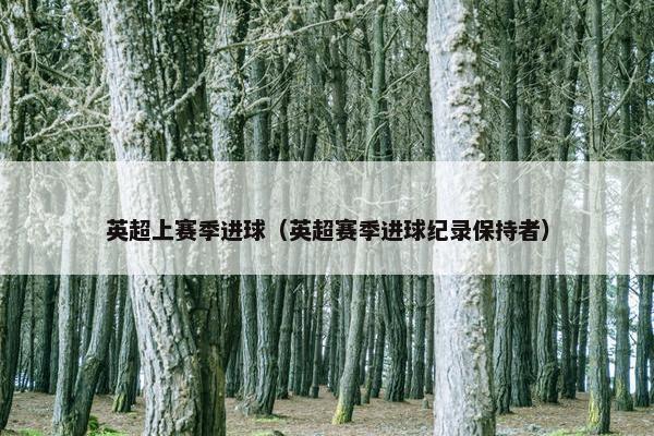 英超上赛季进球（英超赛季进球纪录保持者）