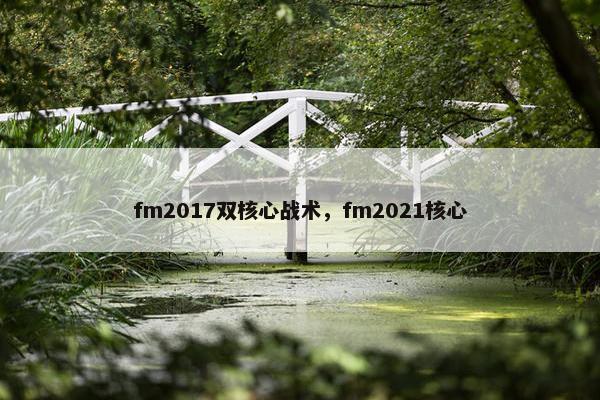 fm2017双核心战术，fm2021核心