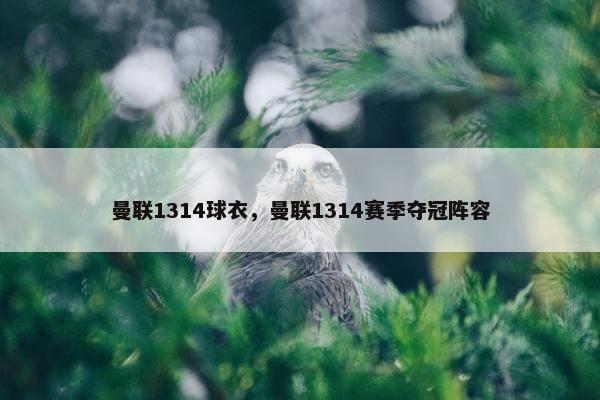 曼联1314球衣，曼联1314赛季夺冠阵容
