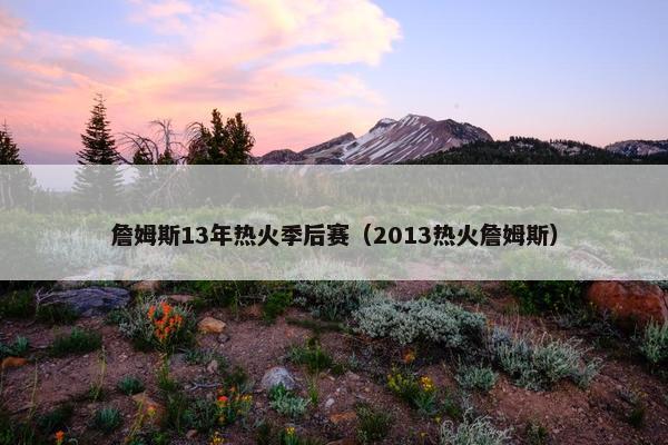 詹姆斯13年热火季后赛（2013热火詹姆斯）