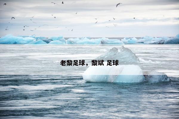 老黎足球，黎斌 足球