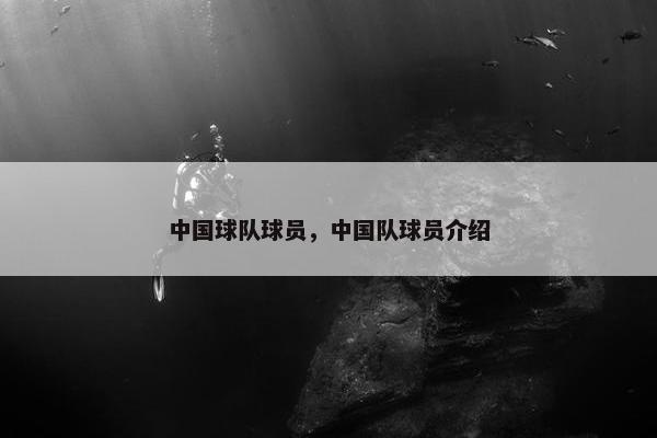 中国球队球员，中国队球员介绍