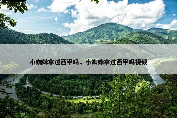 小蜘蛛拿过西甲吗，小蜘蛛拿过西甲吗视频