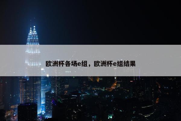 欧洲杯各场e组，欧洲杯e组结果