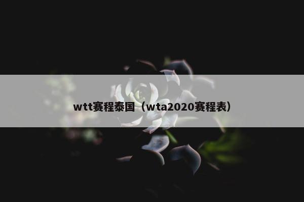 wtt赛程泰国（wta2020赛程表）