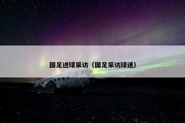 国足进球采访（国足采访球迷）