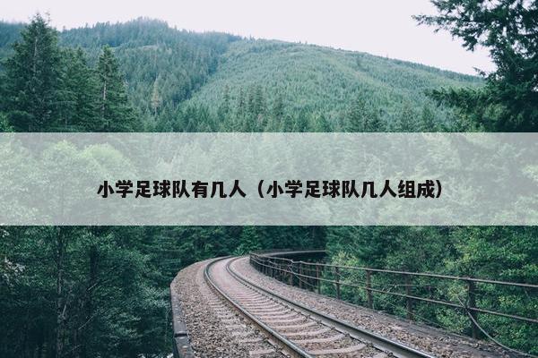 小学足球队有几人（小学足球队几人组成）