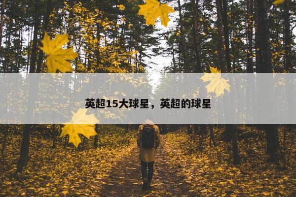 英超15大球星，英超的球星