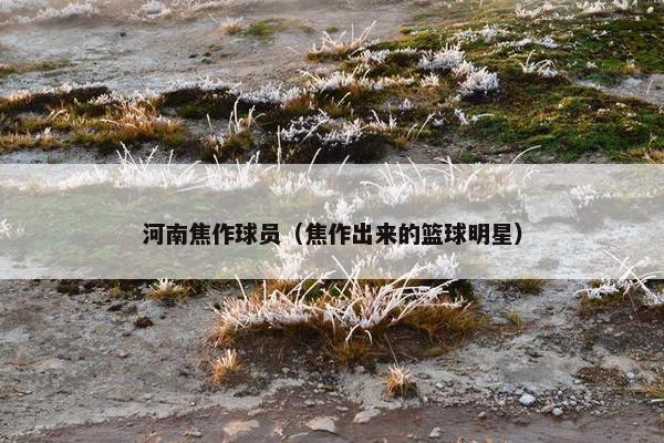 河南焦作球员（焦作出来的篮球明星）