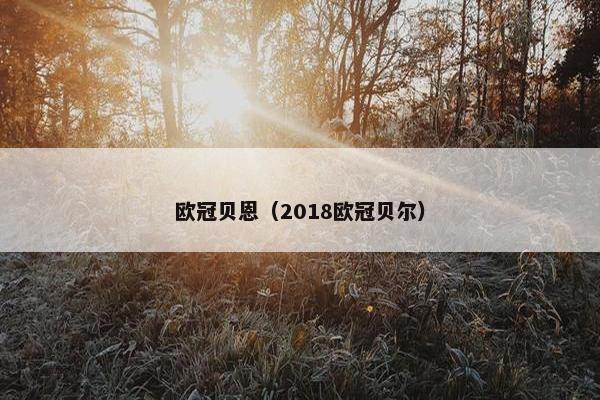欧冠贝恩（2018欧冠贝尔）