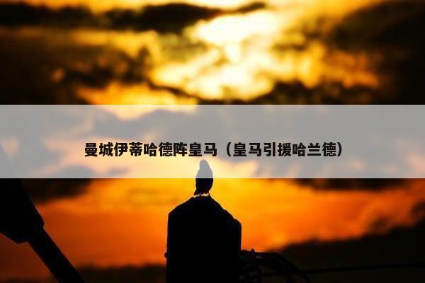 曼城伊蒂哈德阵皇马（皇马引援哈兰德）