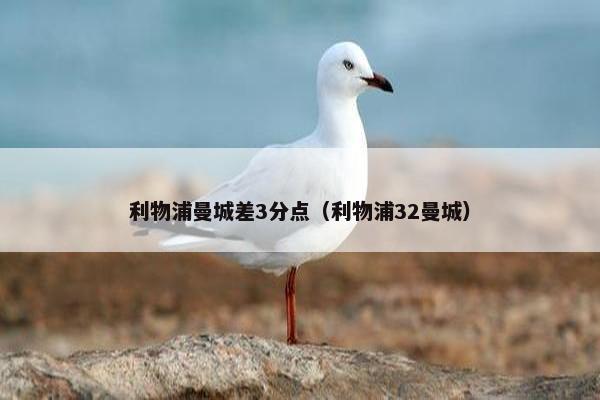 利物浦曼城差3分点（利物浦32曼城）