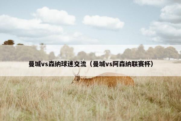 曼城vs森纳球迷交流（曼城vs阿森纳联赛杯）
