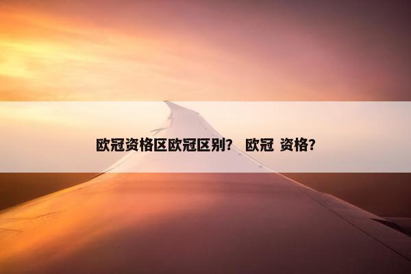 欧冠资格区欧冠区别？ 欧冠 资格？