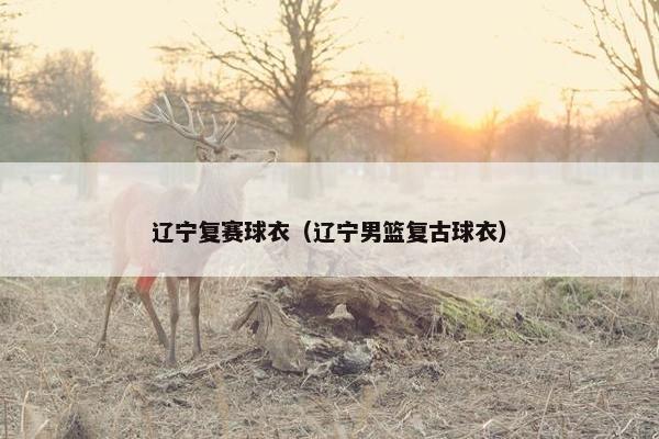 辽宁复赛球衣（辽宁男篮复古球衣）