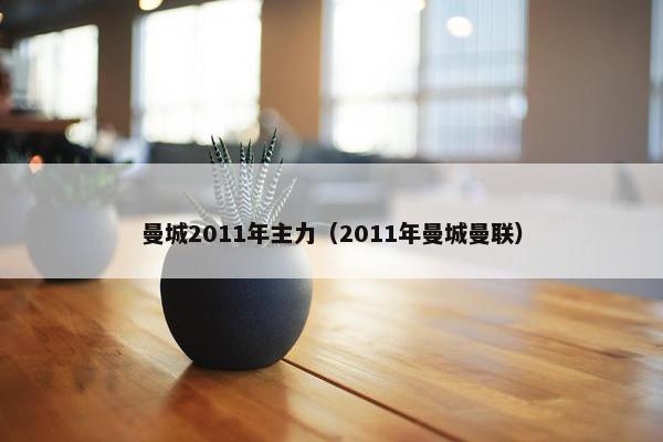 曼城2011年主力（2011年曼城曼联）