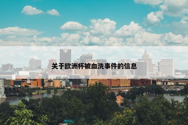 关于欧洲杯被血洗事件的信息