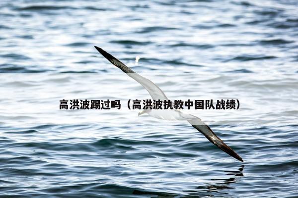 高洪波踢过吗（高洪波执教中国队战绩）