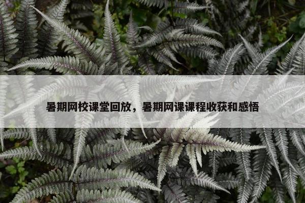 暑期网校课堂回放，暑期网课课程收获和感悟