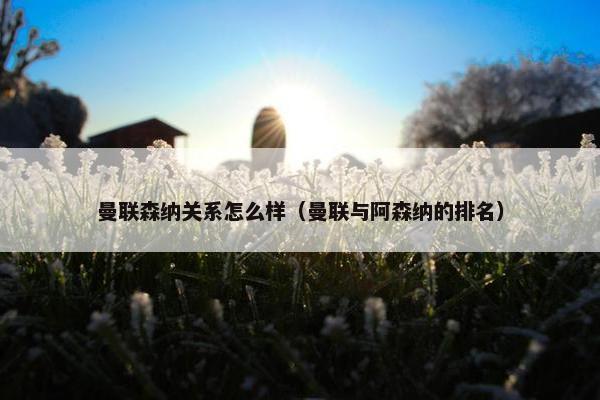 曼联森纳关系怎么样（曼联与阿森纳的排名）