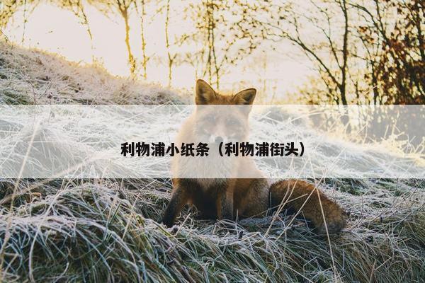 利物浦小纸条（利物浦街头）