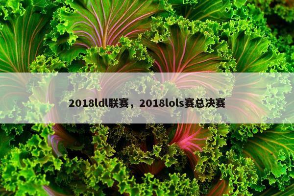 2018ldl联赛，2018lols赛总决赛