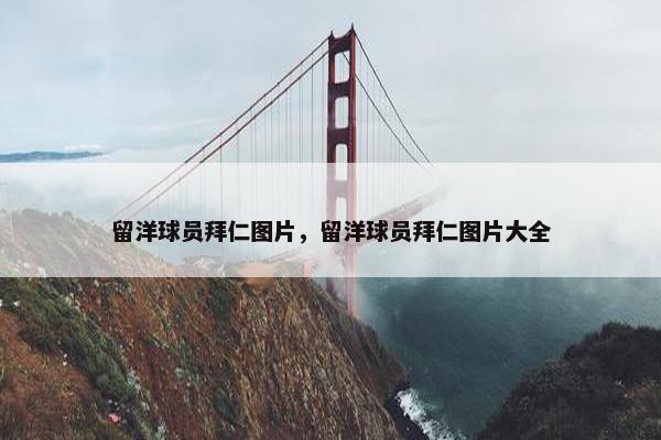 留洋球员拜仁图片，留洋球员拜仁图片大全