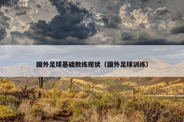 国外足球基础教练现状（国外足球训练）