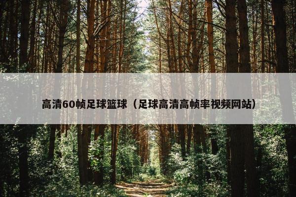 高清60帧足球篮球（足球高清高帧率视频网站）