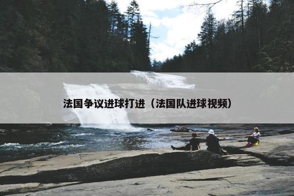 法国争议进球打进（法国队进球视频）