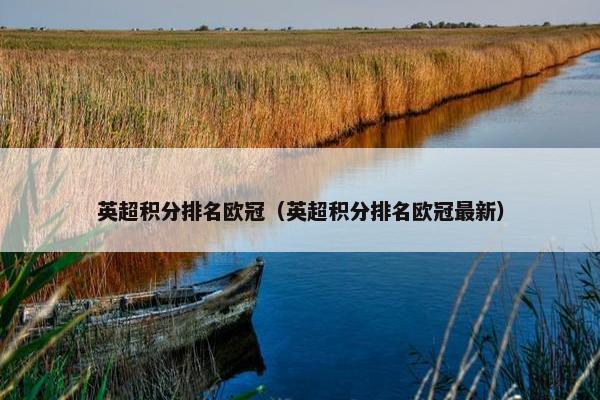 英超积分排名欧冠（英超积分排名欧冠最新）
